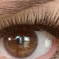 Understanding the Difference between 0.07 and 0.10 Eyelash Extensions