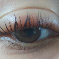 How Long Does It Take for an Eyelash Lift to Settle?